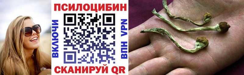 Псилоцибиновые грибы MAGIC MUSHROOMS  площадка клад  Дедовск  где можно купить наркотик 